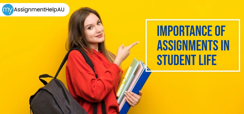 importance of assignment in school