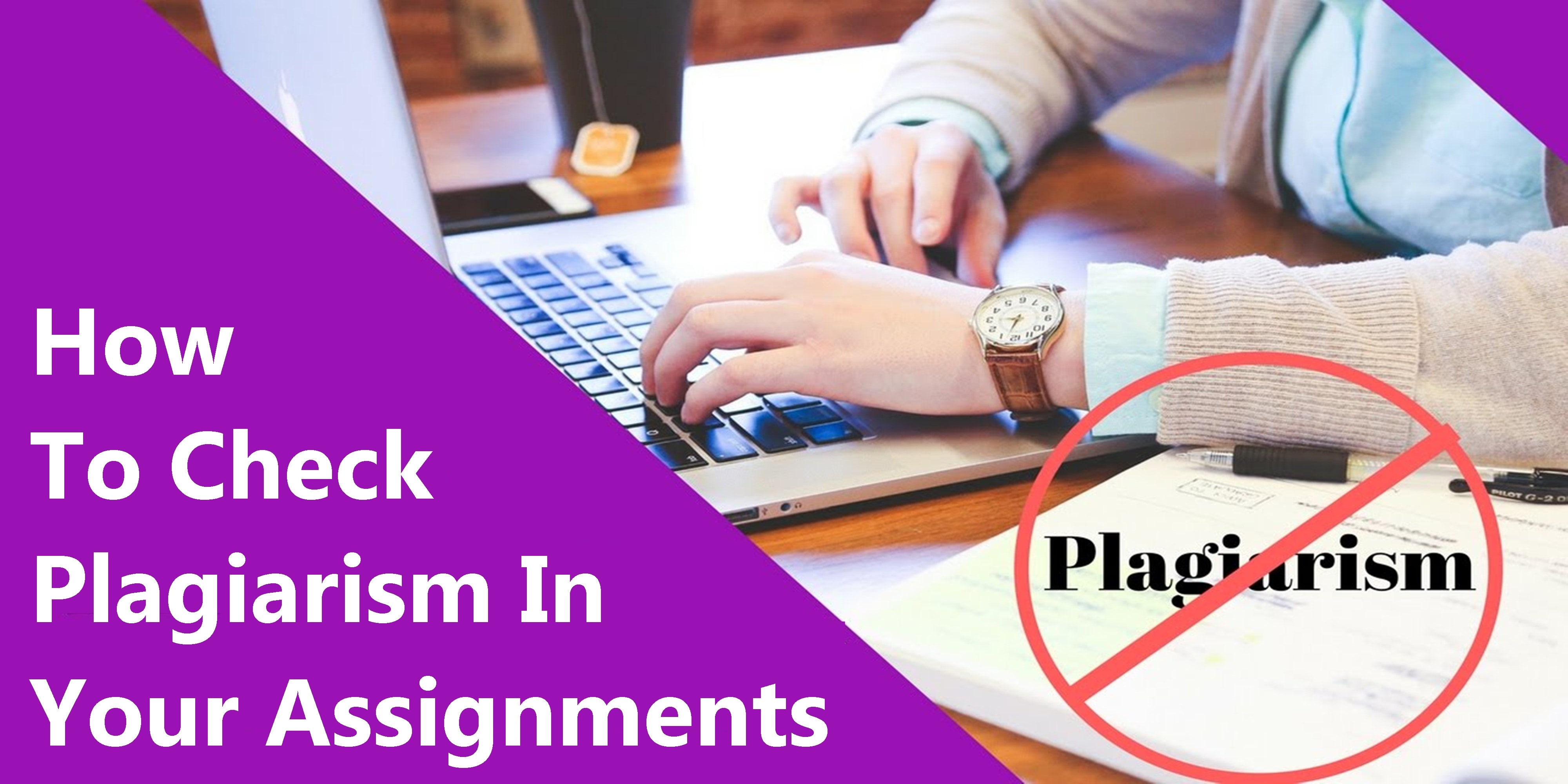 how to check your assignment for plagiarism